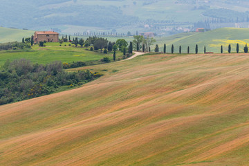 Rolling hills of different colors in soft light, Tuscany, Italy.