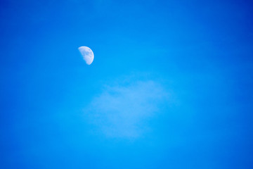 moon in the sky