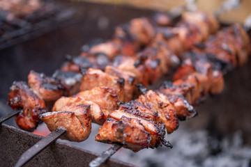 grilled pork meat kebab skewers