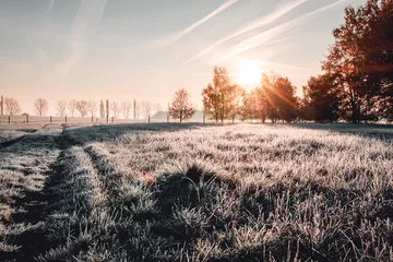 Fotobehang Kalme en prachtige vredige winterochtend met bevroren grasweide en witte natuur en kleurrijke ochtendzonsopgangtonen. Ijzig wit winterwonderland op het platteland met schaduwen © Ricardo