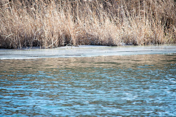 frozen river in winter