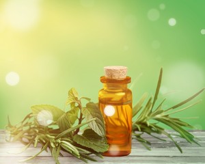 Oil bottle and green herbs on green background