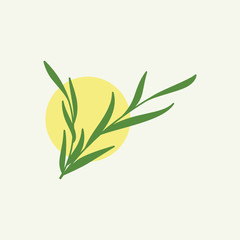 Willow Leaves Spa yellow moon logo vector icon illustration custom logo design