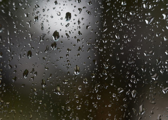 raindrops on the window