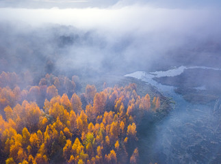 Aerial view of Dreamy foggy autumn landscape