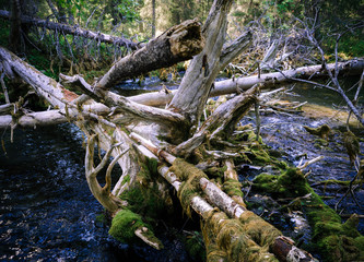 Fototapeta premium seidyavr seidozero north 