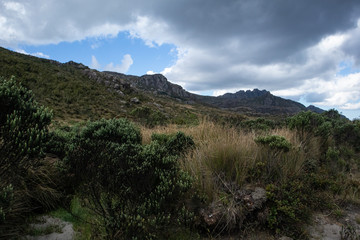 Fototapeta na wymiar Agulhas Negras Peak, Itatiaia National Park, Brazil