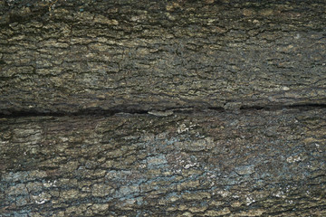 old wood background
