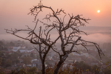 Fototapeta na wymiar Mystic sunrise over small Bulgarian town - beautiful light through morning mist