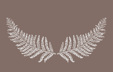 Hand drawn fern leaves plant. Symmetrically arranged two leaves of fern  resemble a mustache. Floral Black graphics on a brown background. Vector illustration of a beautiful decor of nature element. © difinbeker