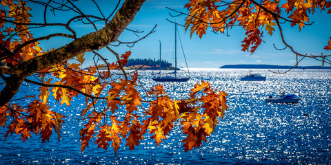 The colorful indian summer at the coast of Maine near Rockport