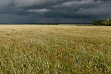 Stormy summer afternoon in countryside.