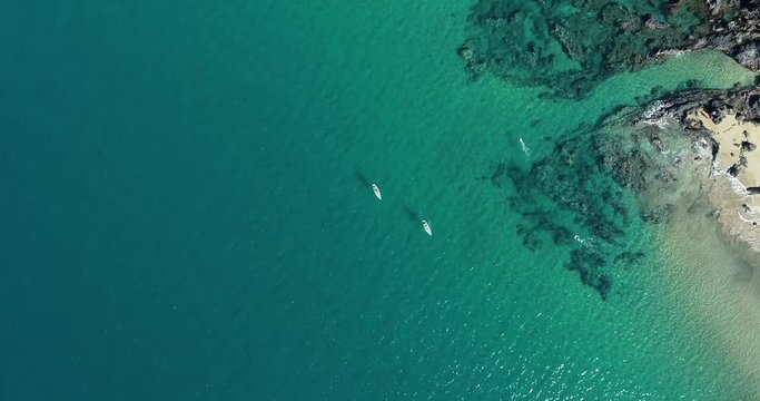 Two Stand Up Paddle Boarders And A Snorkeler In Maui