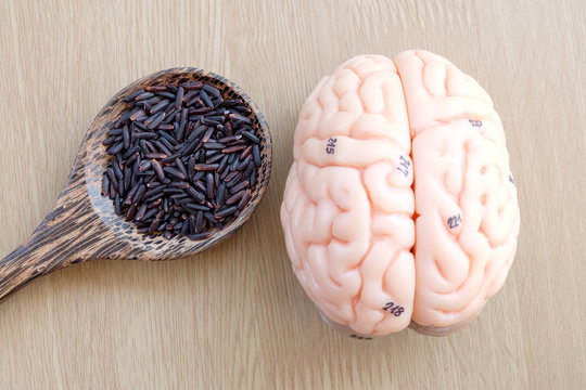 black rice and human brain anatomy