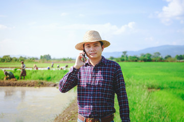 Young handsome farmer in rice field, And hold Smartphone. - 299572870