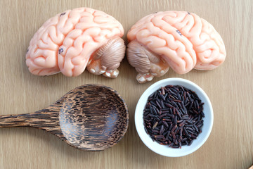 Obraz na płótnie Canvas black rice and human brain anatomy
