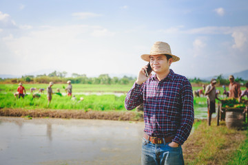 Young handsome farmer in rice field, And hold Smartphone.