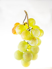 Bunch of table grapes
