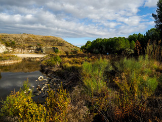 Polluted lagoon in Spain