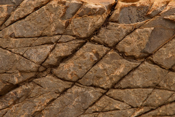 Blurred natural brown background. Texture of rough brown stone with cracks. Close-up, horizontal, cropped shot. The concept of natural beauty and design.