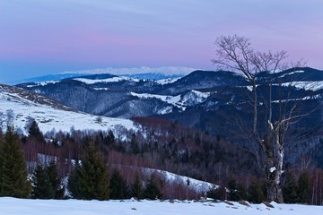 Obraz premium winter in the mountains