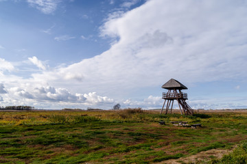 Narwiański Park Narodowy, Topilec, Podlasie, Polska © podlaski49