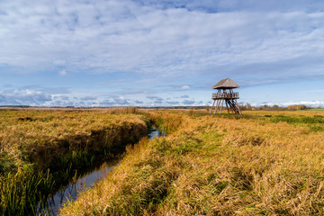 Narwiański Park Narodowy, Topilec, Podlasie, Polska © podlaski49