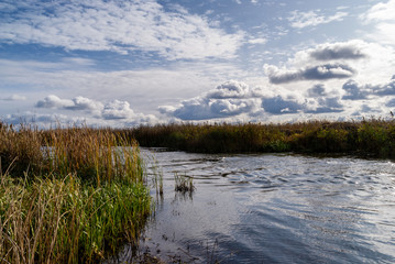 Narwiański Park Narodowy, Topilec, Podlasie, Polska © podlaski49