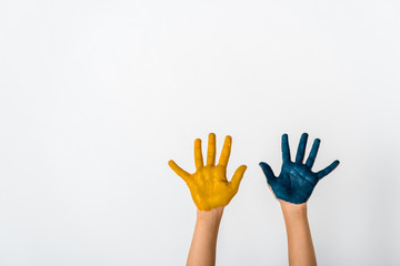 Obraz premium cropped view of child with blue and yellow paint on hands isolated on white