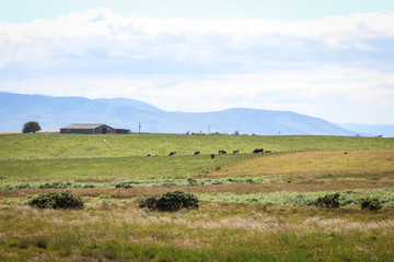 Isle of Bute Scotland