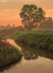 An atmospheric sunrise along the heulebeek on the Bergelen domain in Gullegem, Belgium