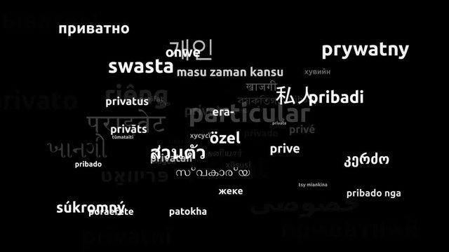 Private Translated in 61 Worldwide Languages Endless Looping 3d Zooming Wordcloud Mask