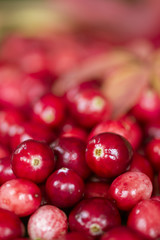 background with fresh cranberry macro. cranberries and leaves close-up.
