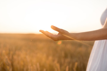 harvesting, nature, agriculture and prosperity concept - hand of young woman on cereal field
