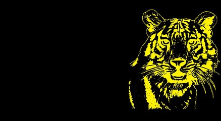 Yellow tiger. Black background for design