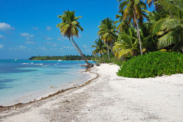 Girl posing standing on a sandy beach. turquoise sea background of coconut trees. Young sexy woman...