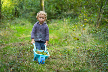 un petit garçon qui pousse sa brouette bleue dans les bois