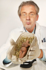 Museum specialist working with prehistorical artifact statue