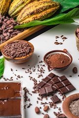 Cocoa beans pods, chocolate bar pieces, cocoa powder