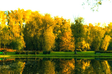 Lake in a city park in the fall with reflection in the water.