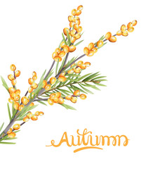 Autumn yellow berries branch with green leaves. Seasonal vector