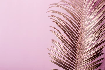 Rosafarbener Luxushintergrund mit goldenem tropischem Blatt © colnihko