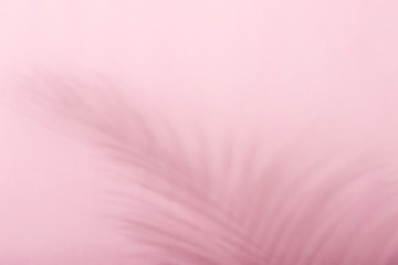 Natural monochrome background in pink colors. Gentle shadow of palm leaf