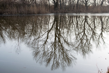 winter landscape with river and trees