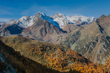 Eggenspitzen im Ultental