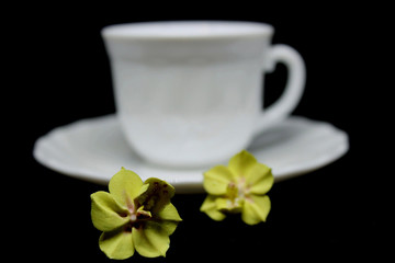 Cup and saucer with decorative flowers on a black background 