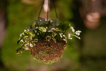 Fototapeta na wymiar Floral arrangement hanging on a wedding decoration at night