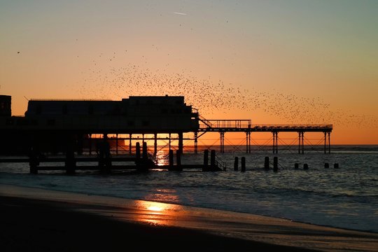 aberystwyth starling cloud sunset