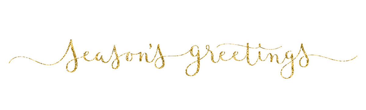 SEASON'S GREETINGS vector brush calligraphy banner with swashes