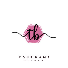 TB Initial handwriting logo vector